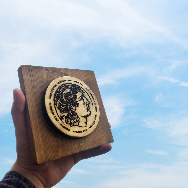 genbrugte palletræ trofæ medaljon